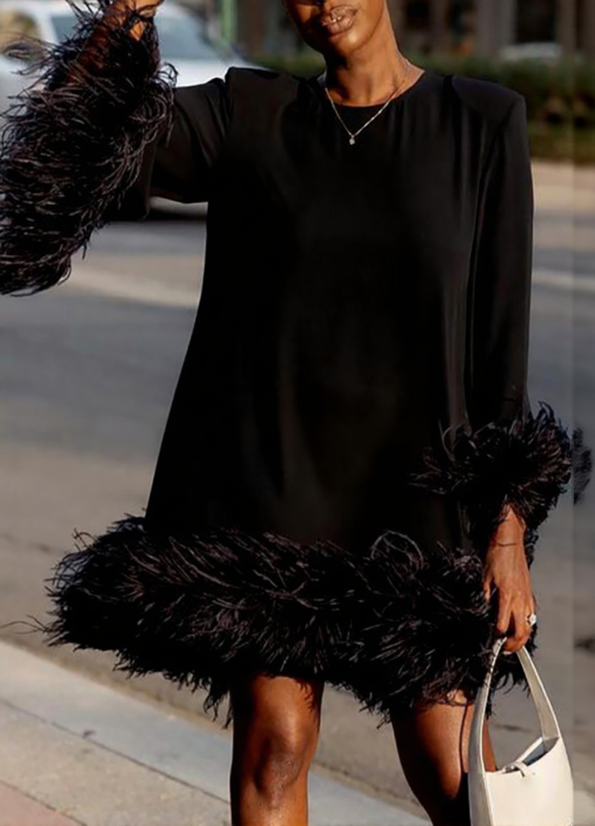 Feather Accented Asymmetrical Mini Dress