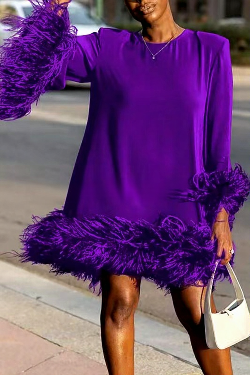 Feather Accented Asymmetrical Mini Dress
