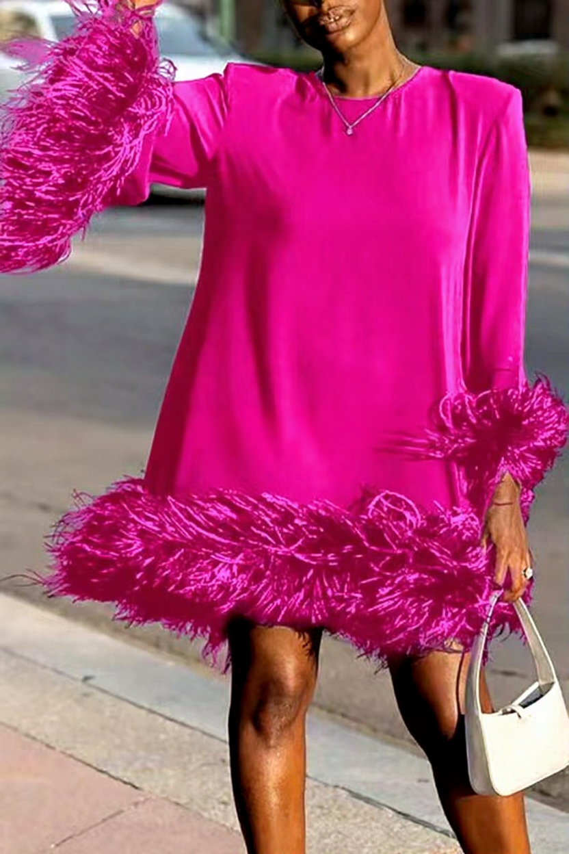 Feather Accented Asymmetrical Mini Dress